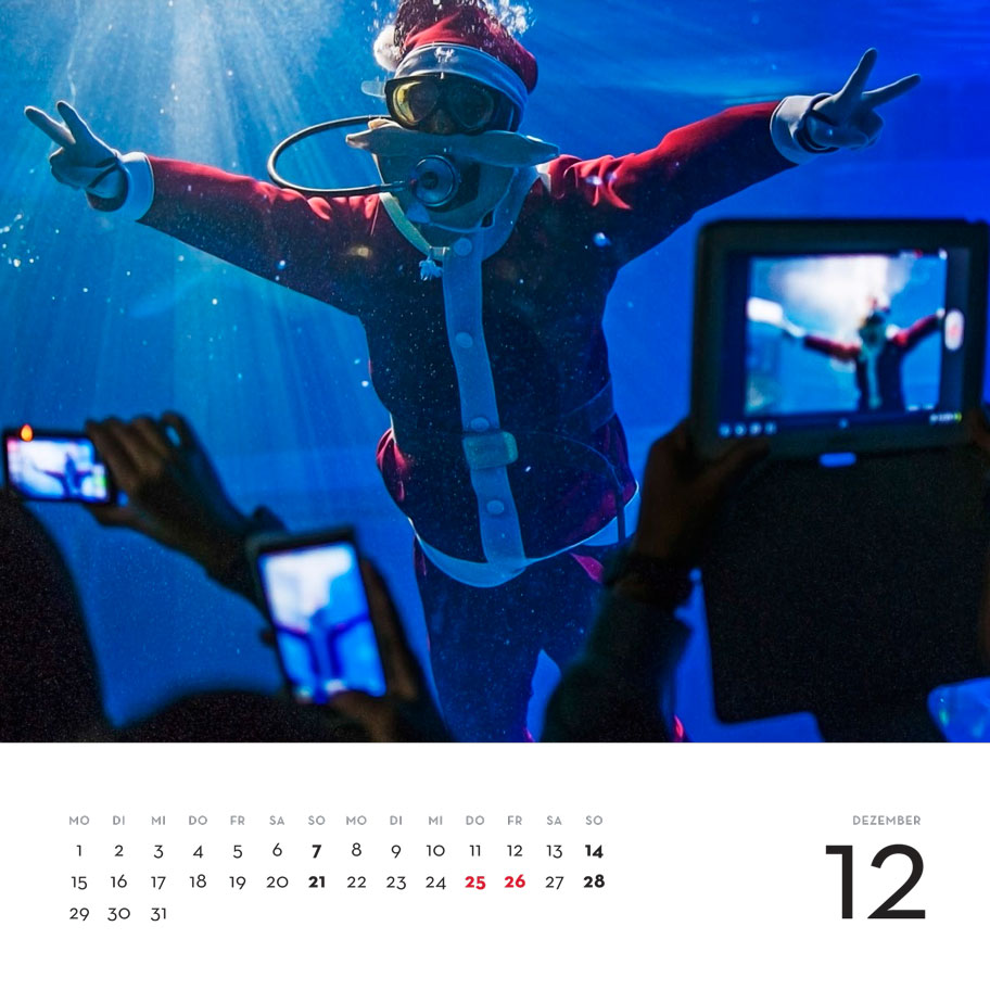 December: Kaiyukan Aquarium, Osaka, Japan (Dec. 2012)